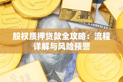 武汉股权质押贷款全攻略：流程详解与风险预警