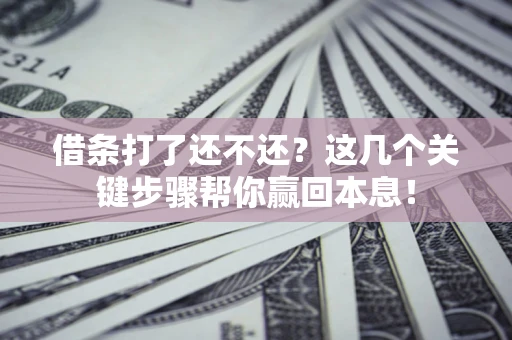 武汉借条打了还不还？这几个关键步骤帮你赢回本息！
