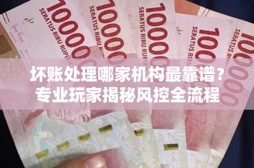 武汉坏账处理哪家机构最靠谱？专业玩家揭秘风控全流程