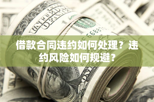 武汉借款合同违约如何处理？违约风险如何规避？