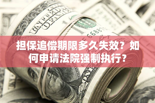 武汉担保追偿期限多久失效？如何申请法院强制执行？