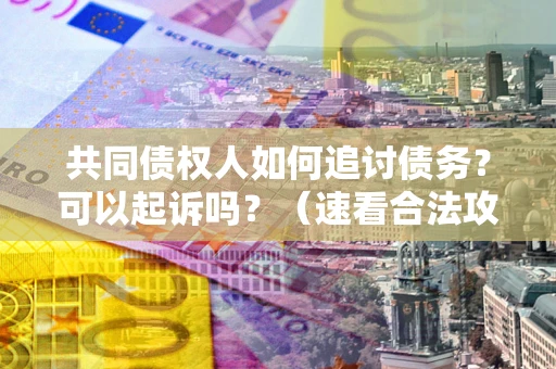 武汉共同债权人如何追讨债务？可以起诉吗？（速看合法攻略）