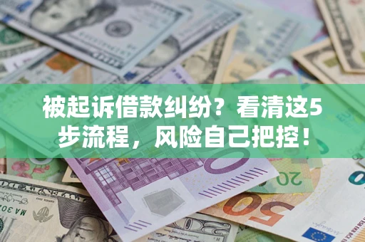 武汉被起诉借款纠纷？看清这5步流程，风险自己把控！