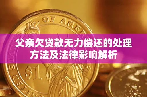 武汉父亲欠贷款无力偿还的处理方法及法律影响解析