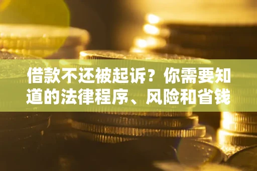 武汉借款不还被起诉？你需要知道的法律程序、风险和省钱技巧