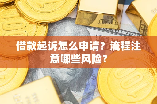 武汉借款起诉怎么申请？流程注意哪些风险？